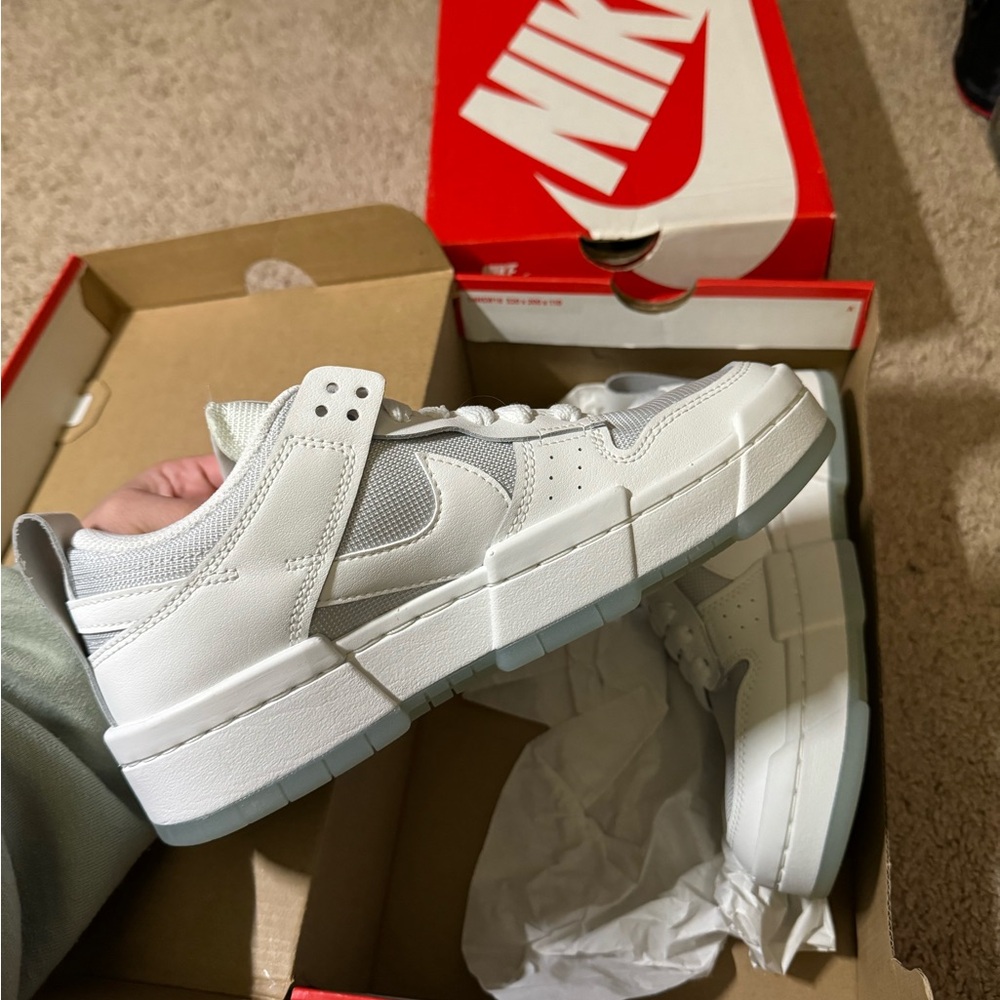 NWB Nike dunks